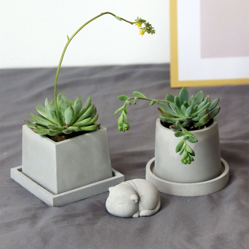 وعاء مصنع الأسمنت ، قالب خرسان - مراجعة Terrazzo Pot Cement وسعره