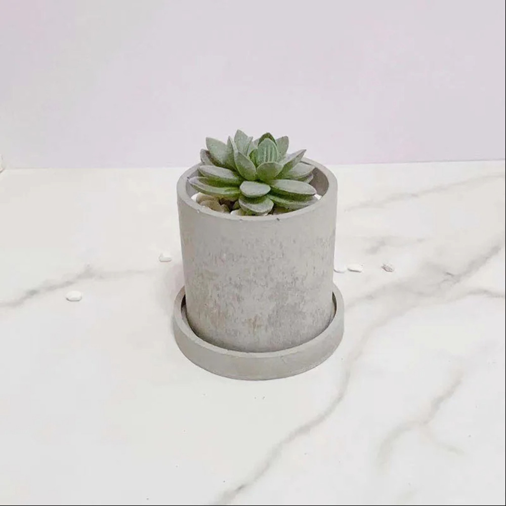 قوالب السيليكون لأواني الأسمنت - مراجعة Terrazzo Pot Cement وسعره