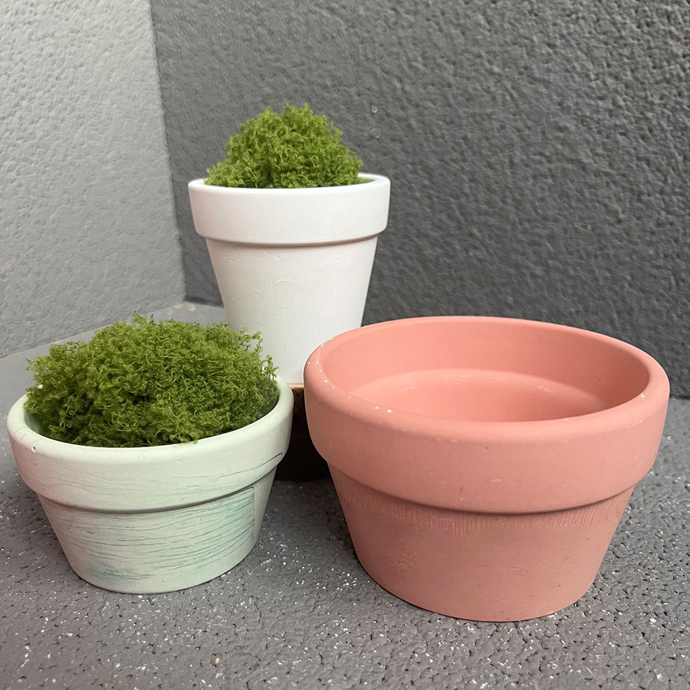 قالب سيليكون لوعاء مصنع خرسانة - مراجعة Terrazzo Pot Cement وسعره